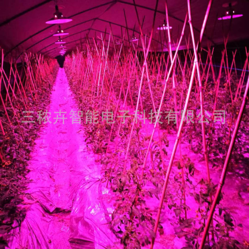 50W-大棚番茄补光灯