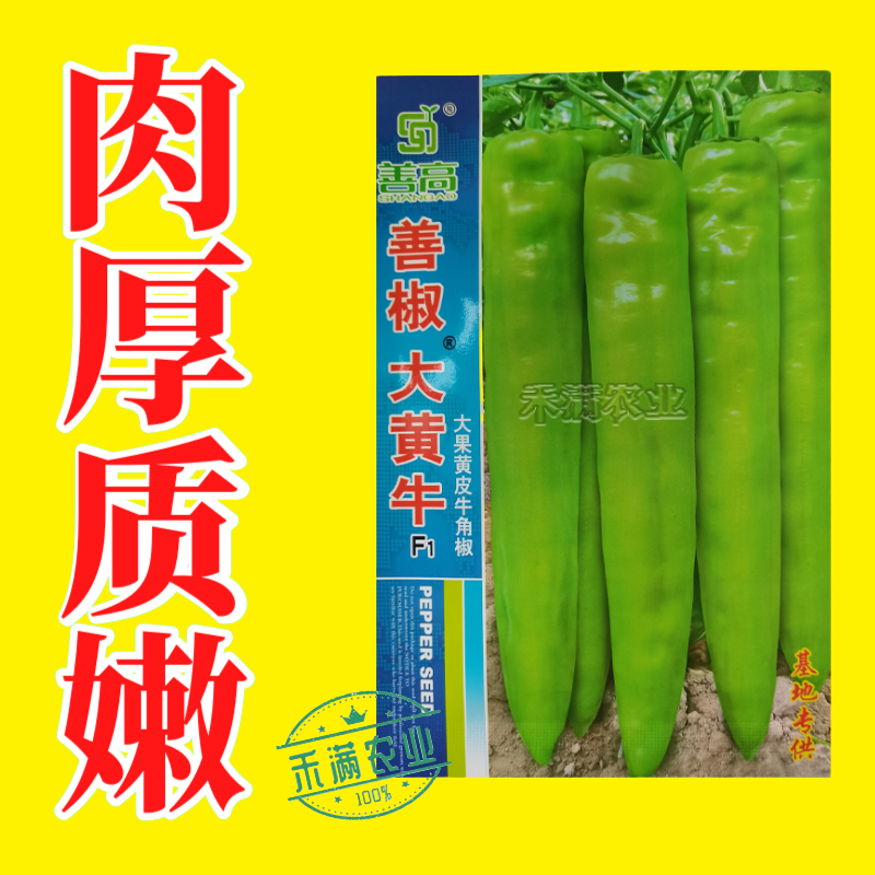 大黄牛大果黄皮牛角椒种籽辣椒种子大全椒种籽蔬菜种籽辣椒种