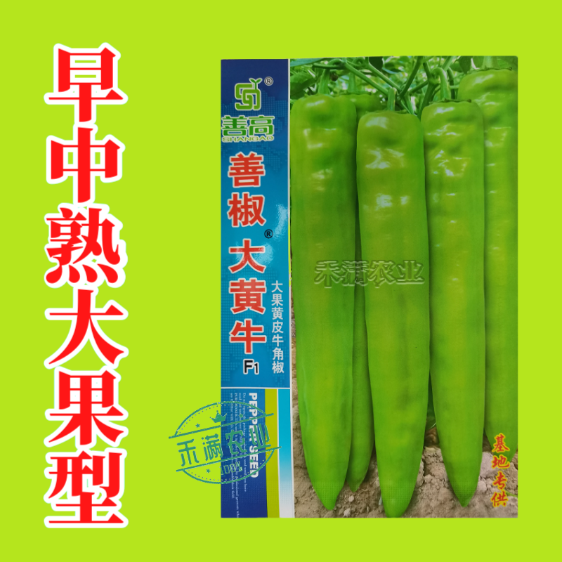 大黄牛大果黄皮牛角椒种籽辣椒种子大全椒种籽蔬菜种籽辣椒种