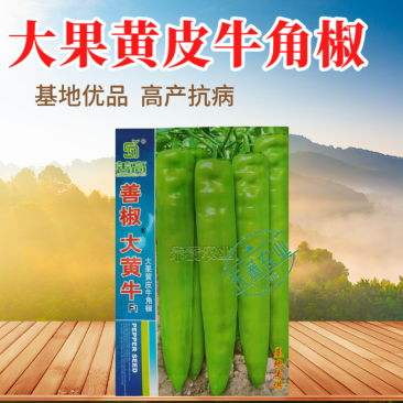 大黄牛大果黄皮牛角椒种籽辣椒种子大全椒种籽蔬菜种籽辣椒种