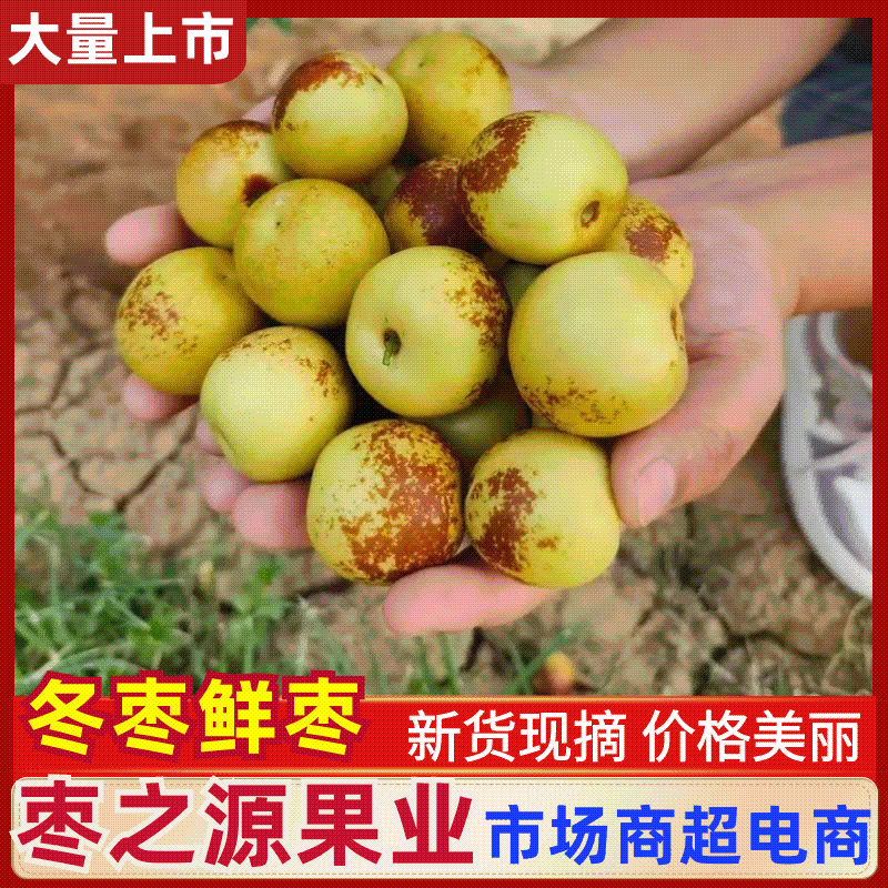 【一件代发】冬枣鲜枣山东发货对接全国，对接各大电商