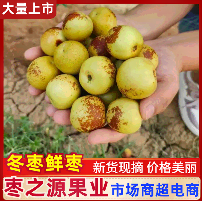 【精品发货】全国代发冬枣鲜枣对接各大电商平台抖音拼多多