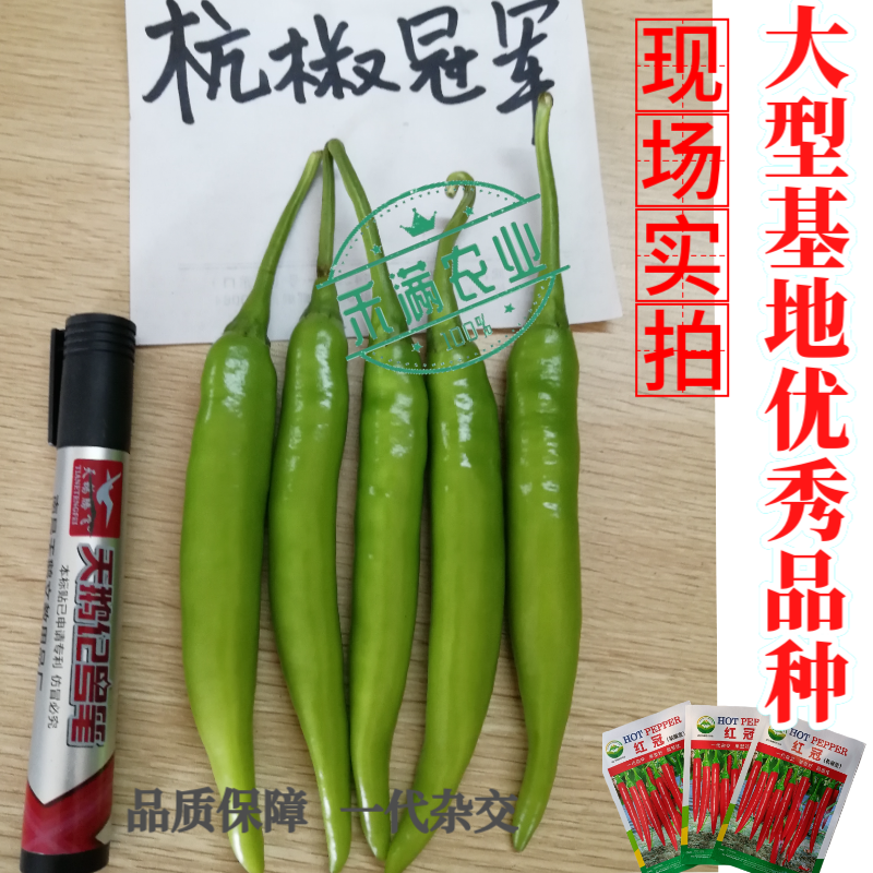 蔬菜基地高端杭椒冠军红冠椒种子羊角椒美人椒辣椒搞病高产种