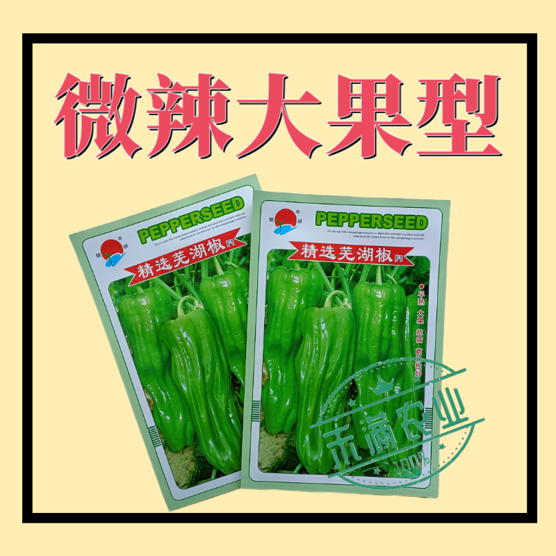 镇研芜湖椒种子基地优品薄皮泡椒种子辣椒种籽孑特大高产蔬菜