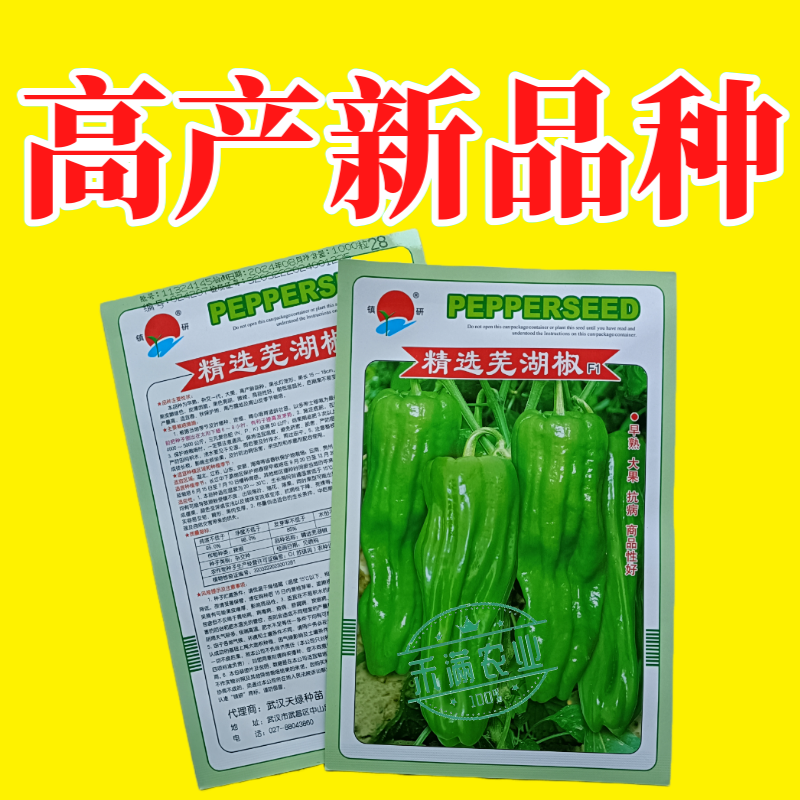 镇研芜湖椒种子基地优品薄皮泡椒种子辣椒种籽孑特大高产蔬菜