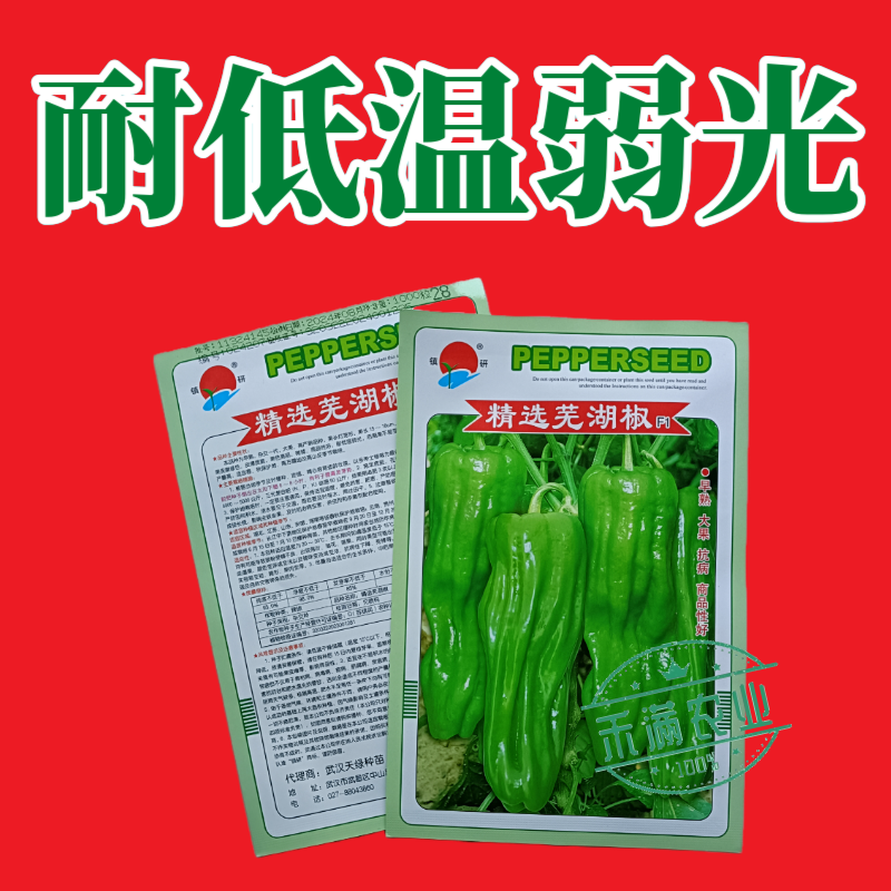镇研芜湖椒种子基地优品薄皮泡椒种子辣椒种籽孑特大高产蔬菜