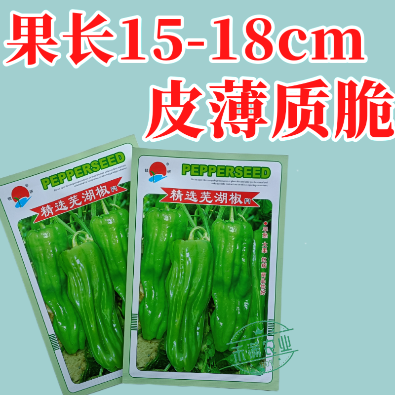 镇研芜湖椒种子基地优品薄皮泡椒种子辣椒种籽孑特大高产蔬菜