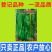 久保田999辣椒种籽早熟耐高温抗糊头大果薄皮芜湖灯笼辣椒