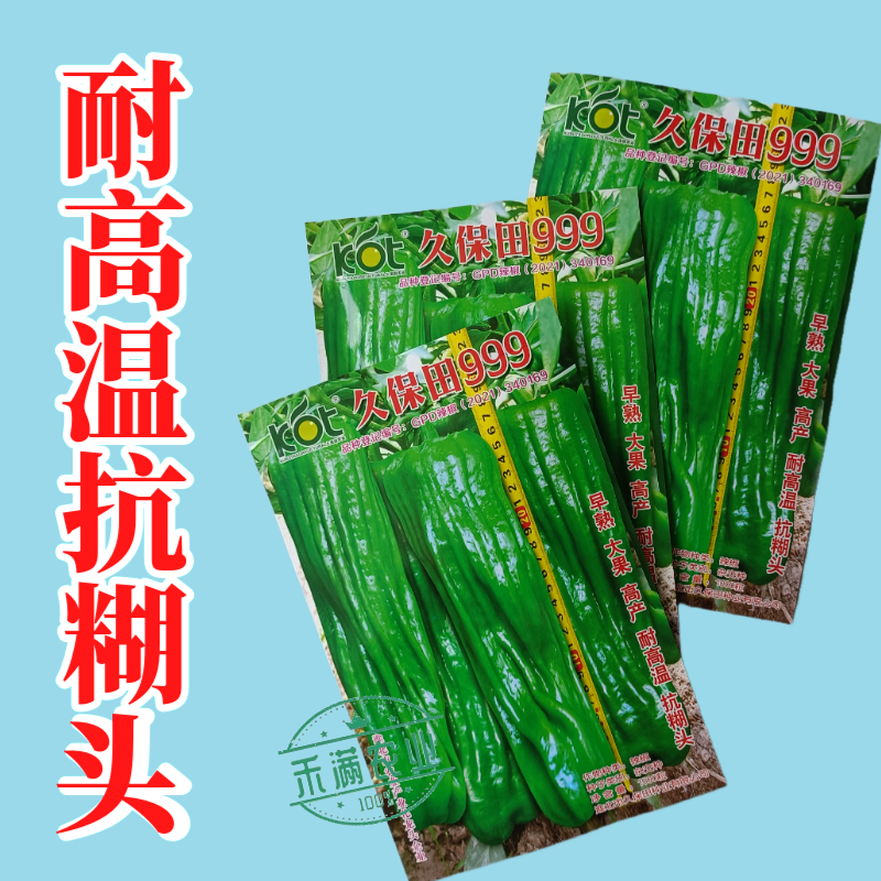 久保田999辣椒种籽早熟耐高温抗糊头大果薄皮芜湖灯笼辣椒
