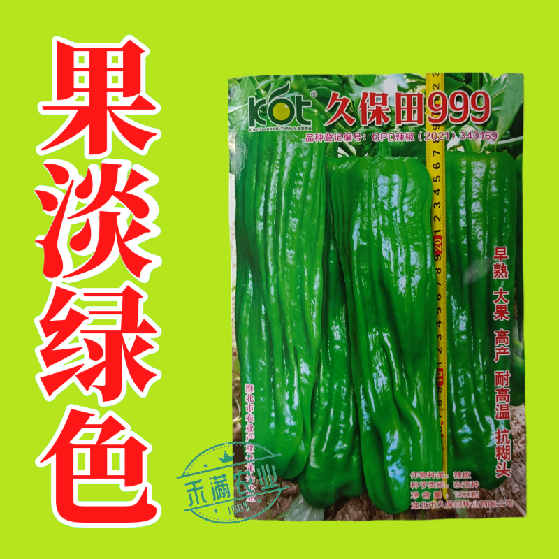 久保田999辣椒种籽早熟耐高温抗糊头大果薄皮芜湖灯笼辣椒