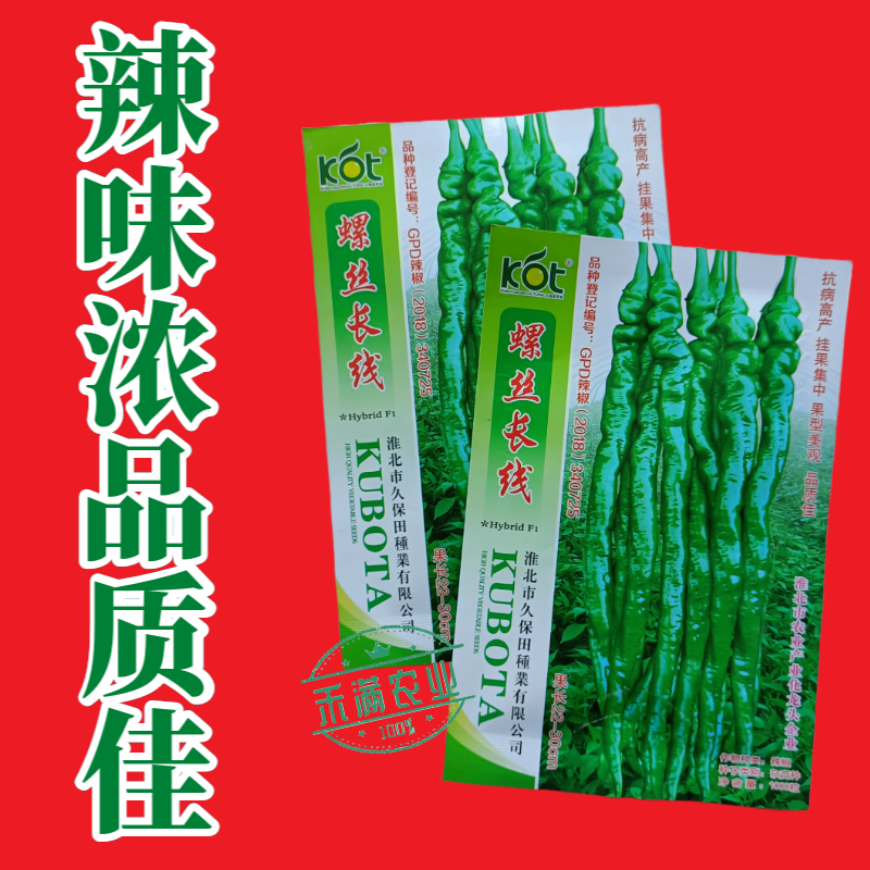 久保田螺丝长线辣椒种子薄皮线椒高产抗病二荆条皱皮螺丝辣椒