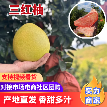【红心柚】广西三红柚基地直发量大从优欢迎咨询下单