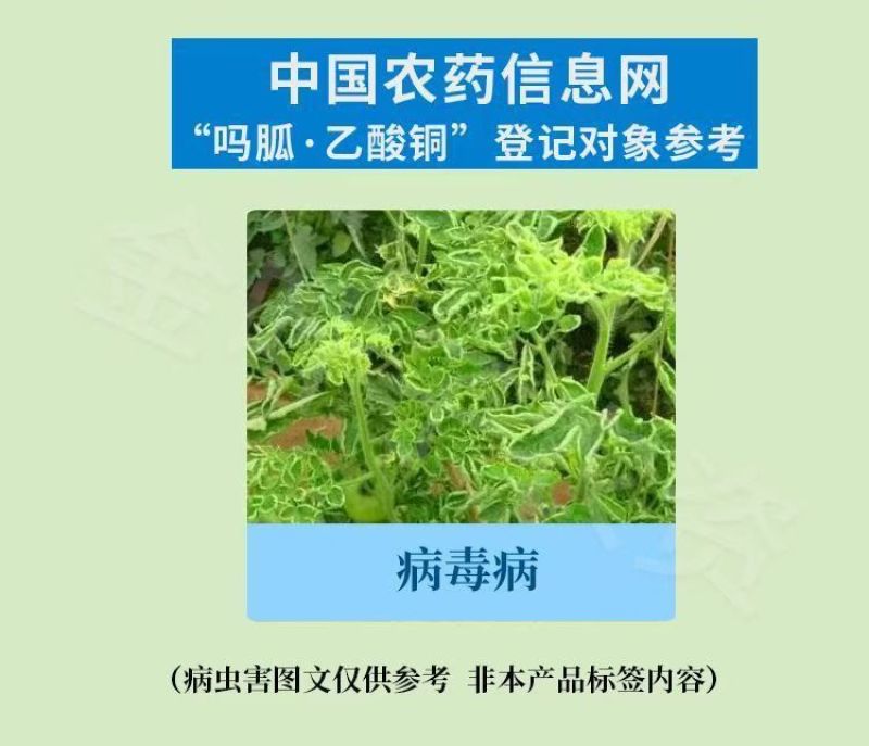 20%吗胍·乙酸铜番茄西红柿病毒病黄叶花叶病毒病农药杀