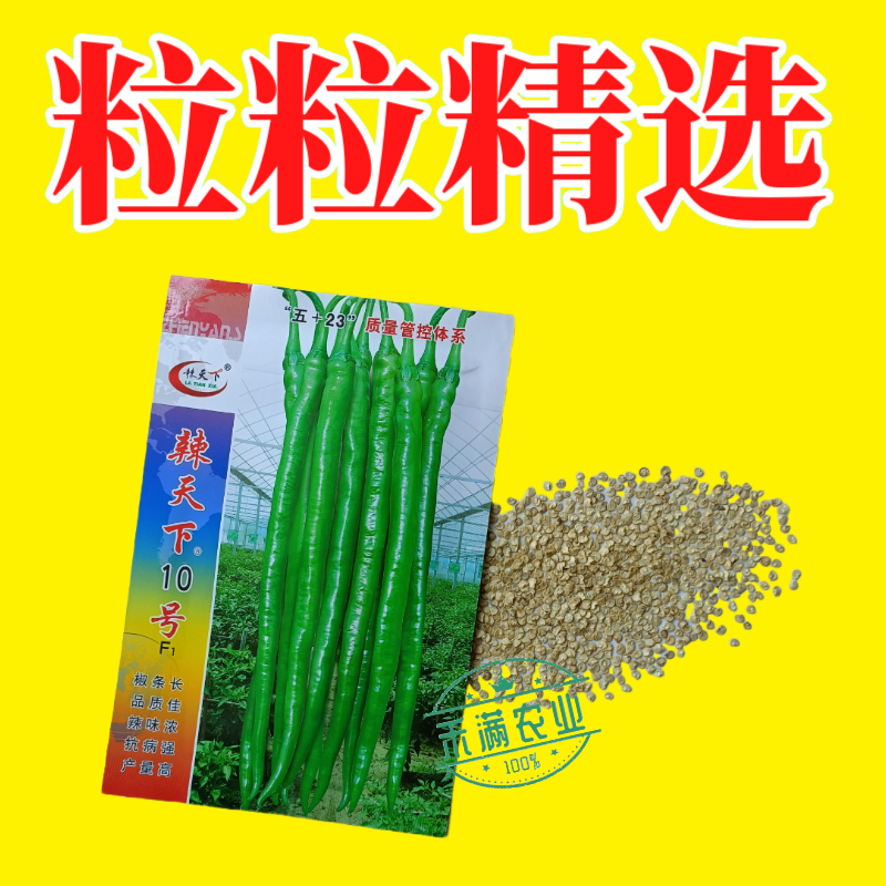 辣天下10辣椒椒种子高产早熟青辣椒微辣种籽辣椒超长种子