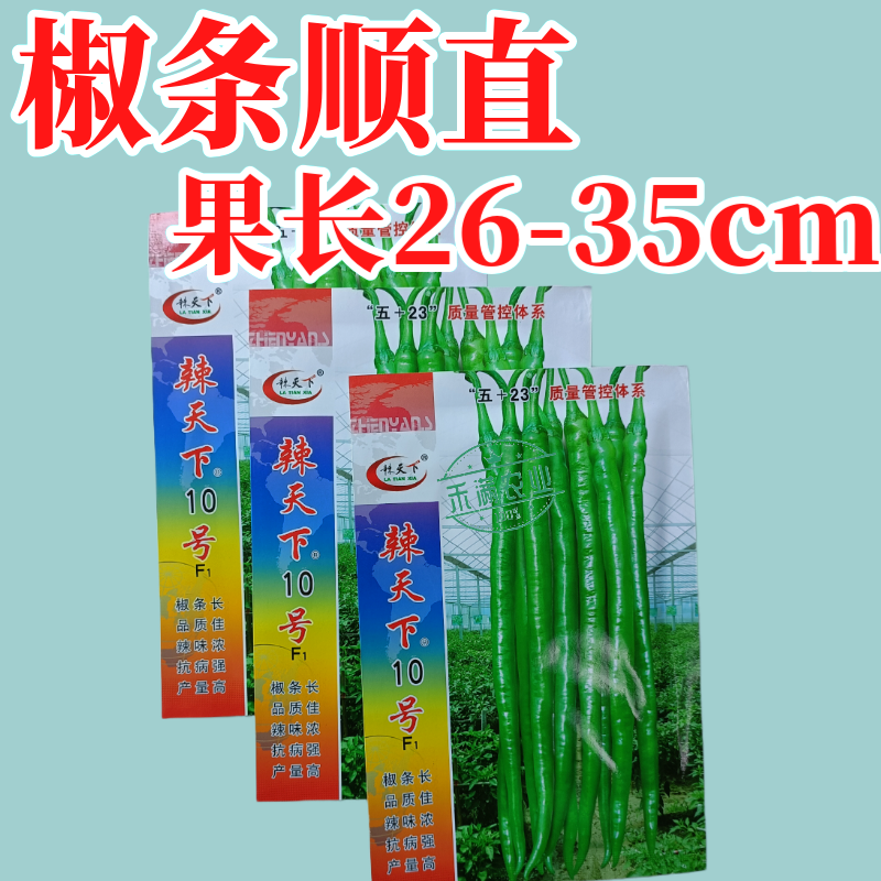 辣天下10辣椒椒种子高产早熟青辣椒微辣种籽辣椒超长种子