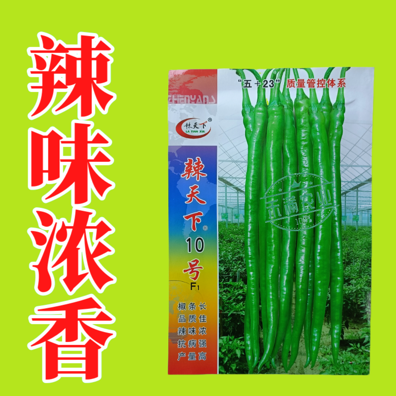 辣天下10辣椒椒种子高产早熟青辣椒微辣种籽辣椒超长种子
