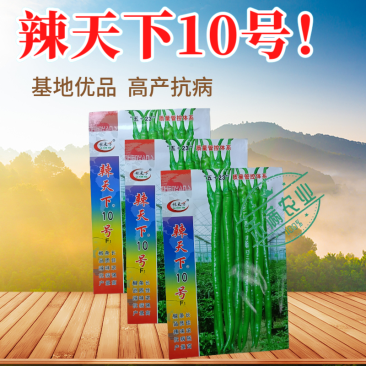 辣天下10辣椒椒种子高产早熟青辣椒微辣种籽辣椒超长种子