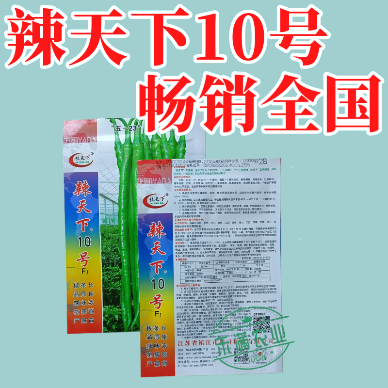 辣天下10辣椒椒种子高产早熟青辣椒微辣种籽辣椒超长种子