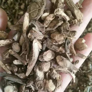 广豆根