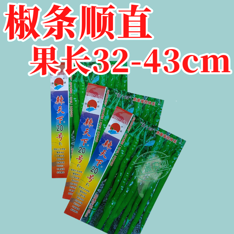 辣天下20辣椒椒种子高产早熟青辣椒微辣种籽辣椒超长种子