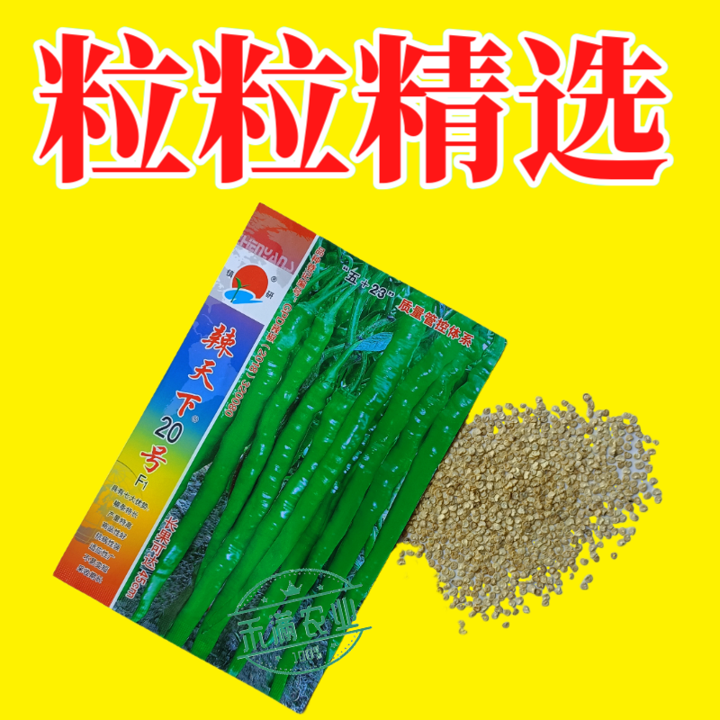 辣天下20辣椒椒种子高产早熟青辣椒微辣种籽辣椒超长种子