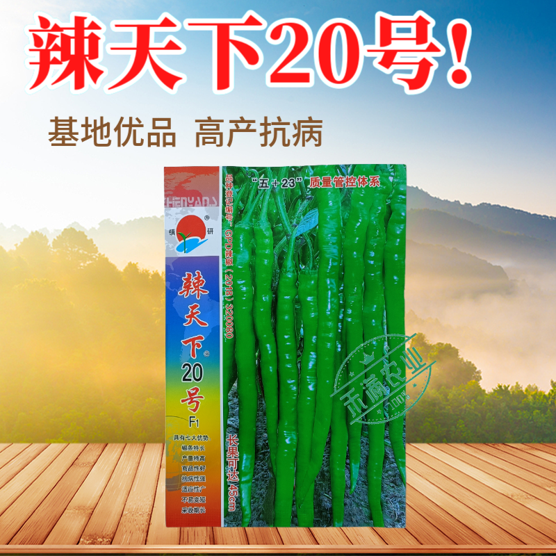 辣天下20辣椒椒种子高产早熟青辣椒微辣种籽辣椒超长种子