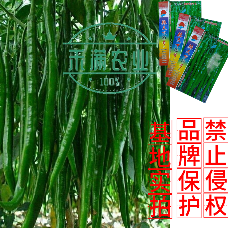辣天下20辣椒椒种子高产早熟青辣椒微辣种籽辣椒超长种子