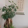 王正兴的一亩田店铺