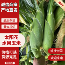 太阳花水果玉米大量供应工厂市场电商超市，品质保证