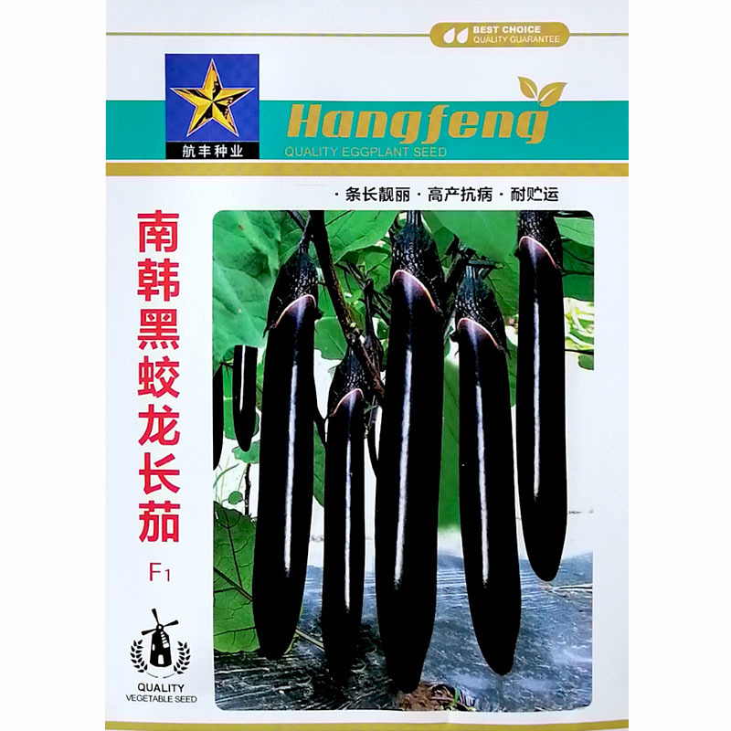 南韩黑蛟龙长茄种子条长早熟黑茄子种子高产蔬菜基地