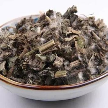狗舌草