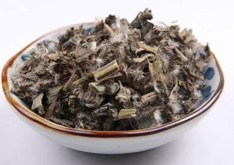 狗舌草