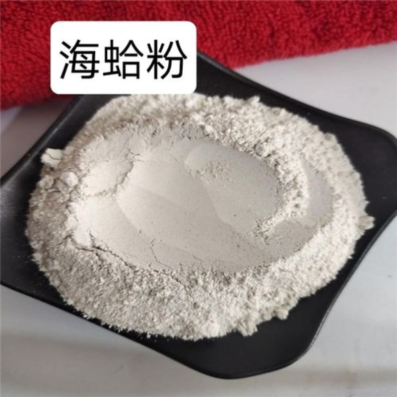 蛤粉海蛤粉海蛤粉