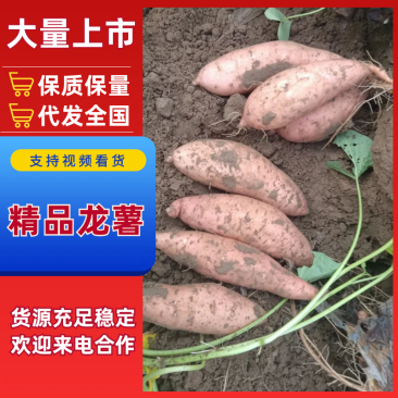 【实力供货】龙薯湖北红薯龙薯九号基地直发欢迎咨询下单