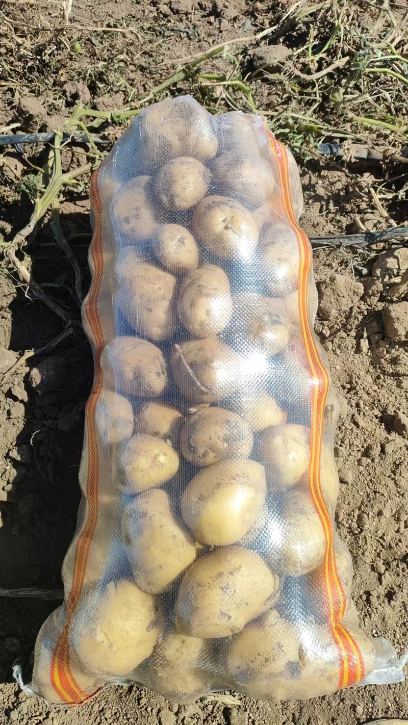 内蒙古土豆太和土豆产地直发货源充足品种齐全质量保证发全国