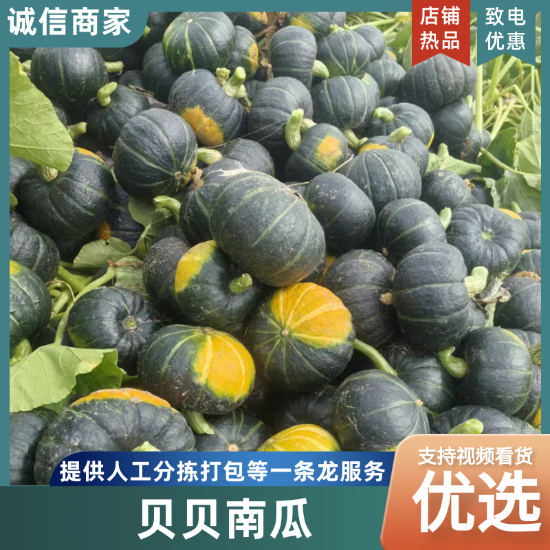 内蒙贝贝南瓜陕西大荔提货，视频看货对接一件代发抖音