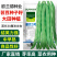 青绿条高产芸豆种子雅芸3号耐热耐寒芸豆角种籽架豆种子大全