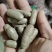 河北蠡县山药豆产地直发货源充足欢迎随时电话联系