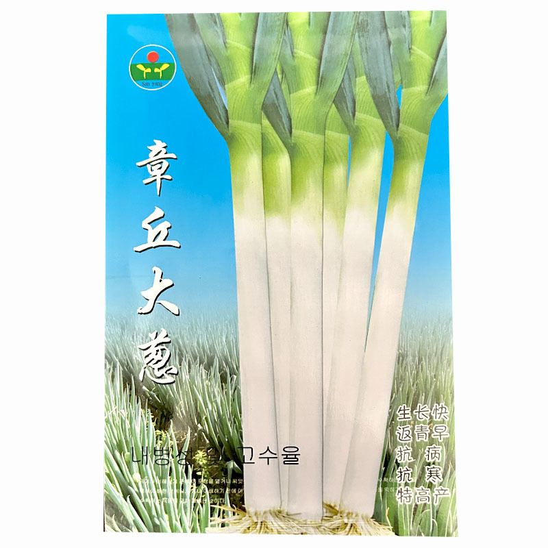 章丘大葱种子大梧桐葱白长按斤批发大田用种产量高