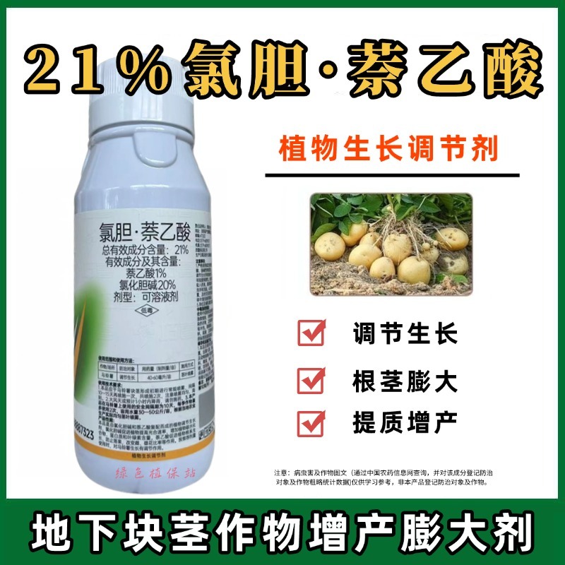 氯胆萘乙酸根茎块茎膨大剂土豆马铃薯红薯生姜山药抗病抗逆提