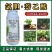氯胆萘乙酸根茎块茎膨大剂土豆马铃薯红薯生姜山药抗病抗逆提