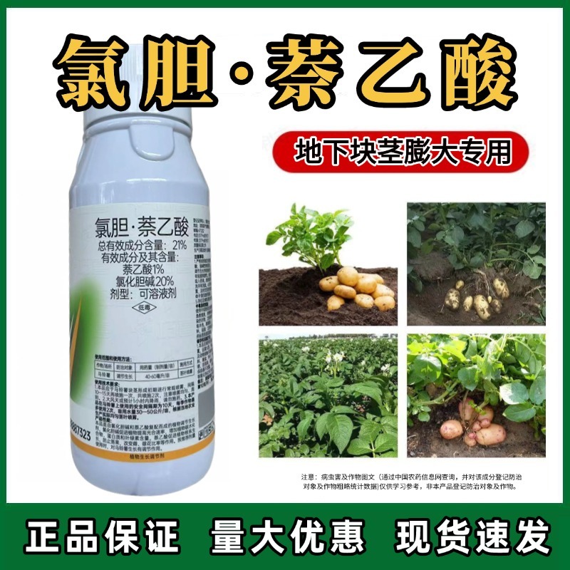 氯胆萘乙酸根茎块茎膨大剂土豆马铃薯红薯生姜山药抗病抗逆提