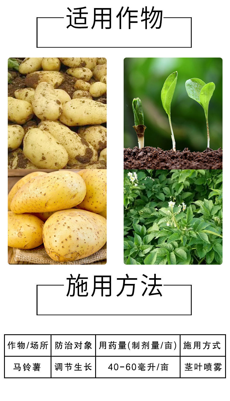氯胆萘乙酸根茎块茎膨大剂土豆马铃薯红薯生姜山药抗病抗逆提