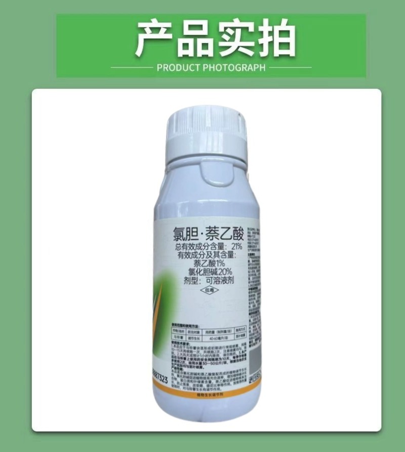 氯胆萘乙酸根茎块茎膨大剂土豆马铃薯红薯生姜山药抗病抗逆提