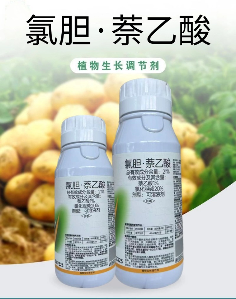 氯胆萘乙酸根茎块茎膨大剂土豆马铃薯红薯生姜山药抗病抗逆提