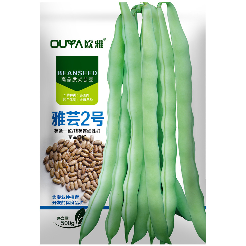 绿白条高产芸豆种子籽耐热耐寒无筋豆宽扁四季豆芸豆种子大全