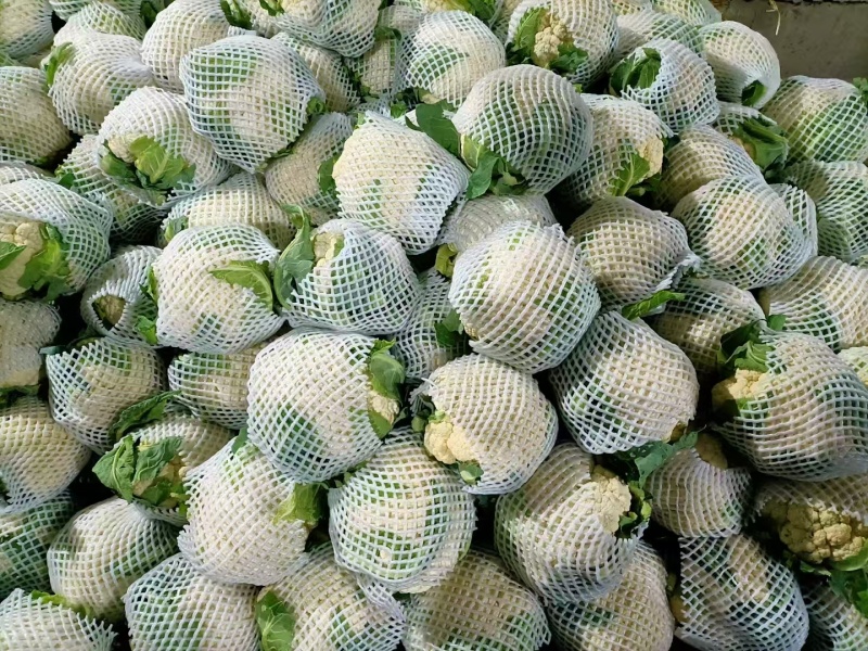 花菜，当季现货，新鲜现摘，产地直发品质保证，量大从优！