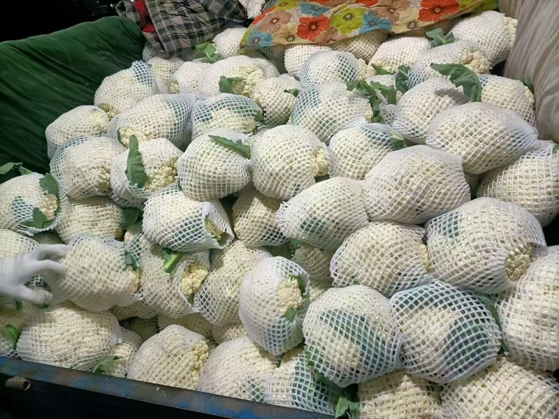 花菜，当季现货，新鲜现摘，产地直发品质保证，量大从优！