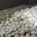 花菜，当季现货，新鲜现摘，产地直发品质保证，量大从优！