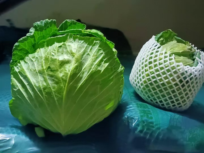 甘蓝，当季现货，新鲜现摘，产地直发品质保证，量大从优